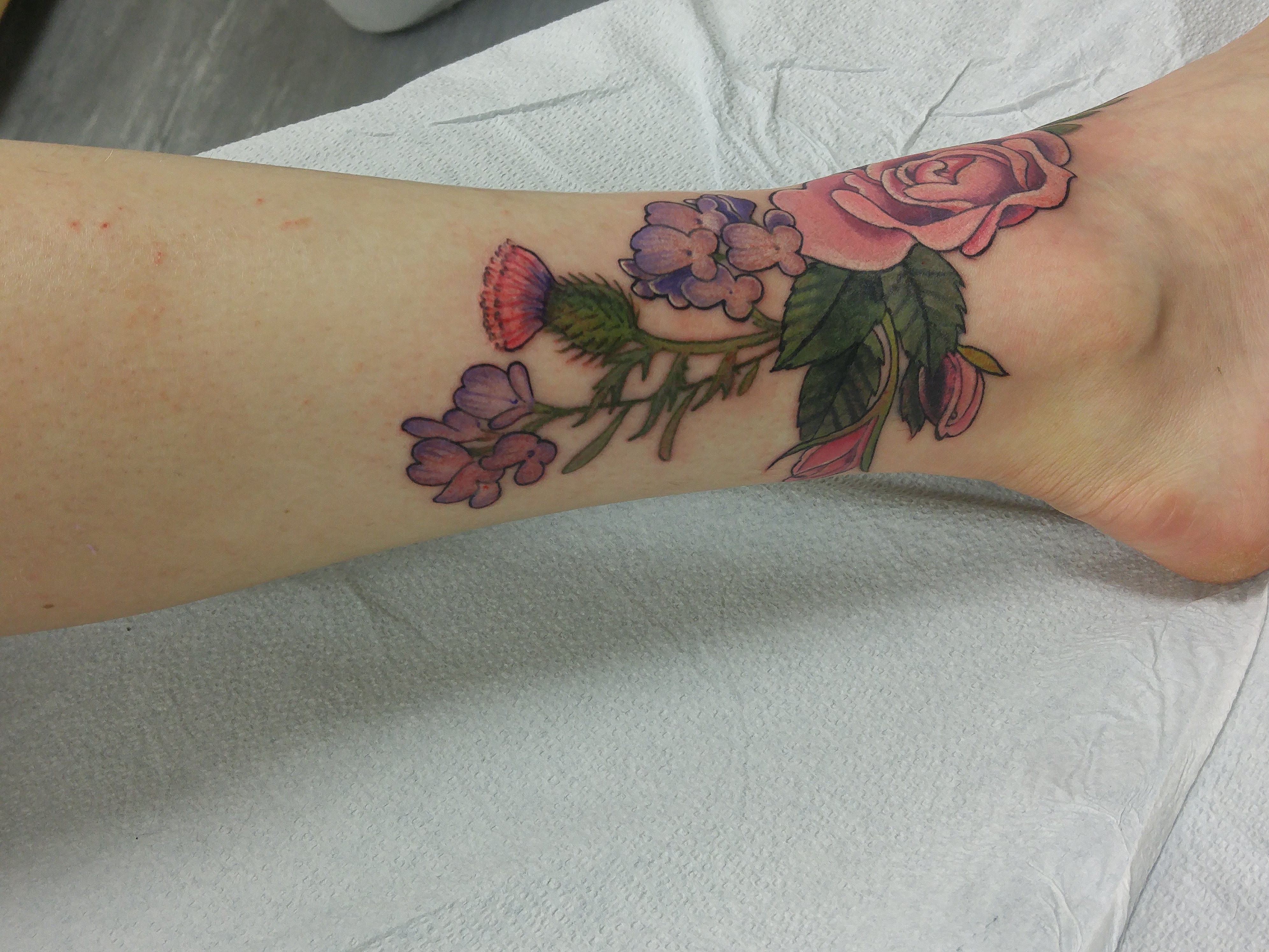 Highlighting the thistle and alfalfa flowers