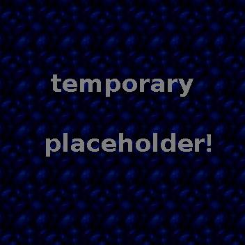 Just a thing saying temporary placeholder, on a blue pattern similar to the background