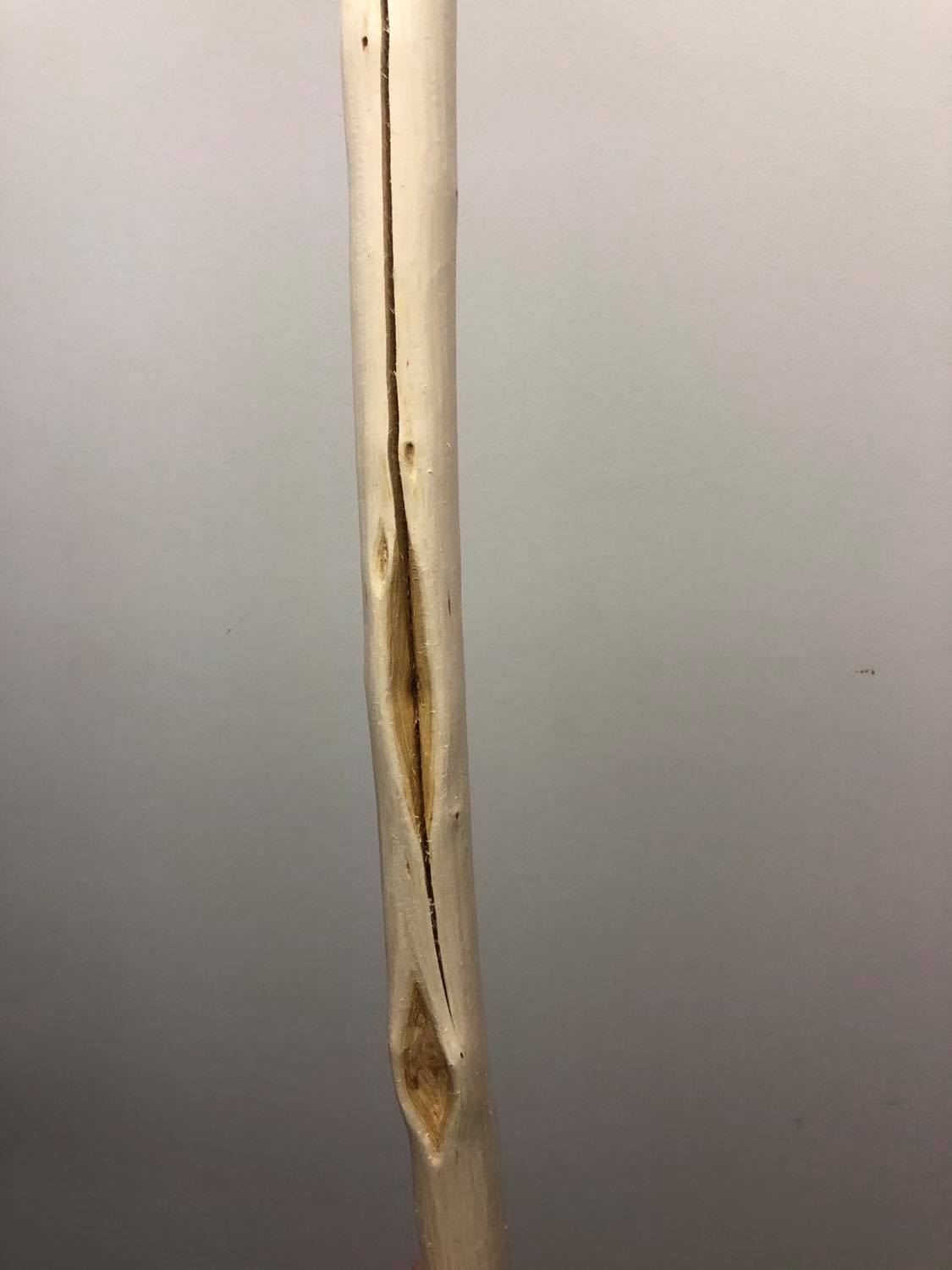 Showing the back of the staff, where unfortunately the wood had split in the drying process. No, there was nothing spiritual about it. Besides, see next photo.
