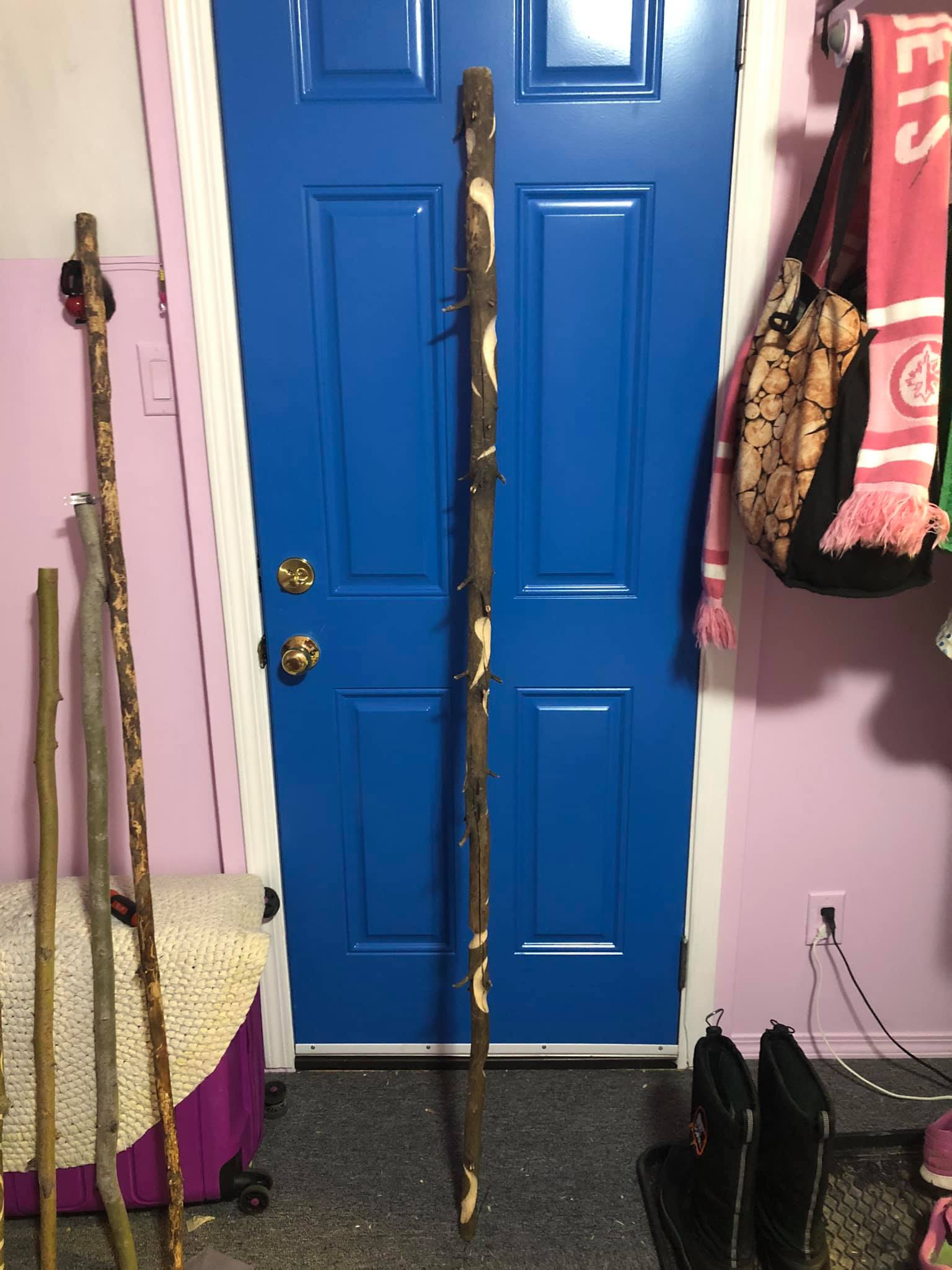 The staff sitting up against a blue door, with all of the fake-spirits, or spirits-in-imagery-only going up the side. It looks like they're swirling up and down the staff. Several other staves are seen nearby, also winter boots and a scarf and stuff around the door.