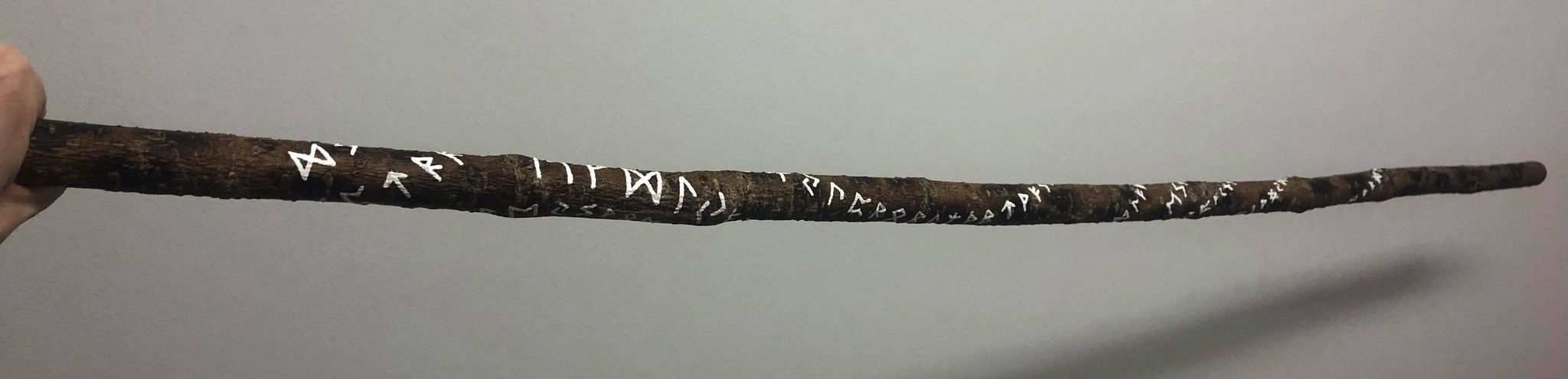 A dark wooden, mottled staff containing hundreds of runes, being held out horozontally in front of a white wall.
