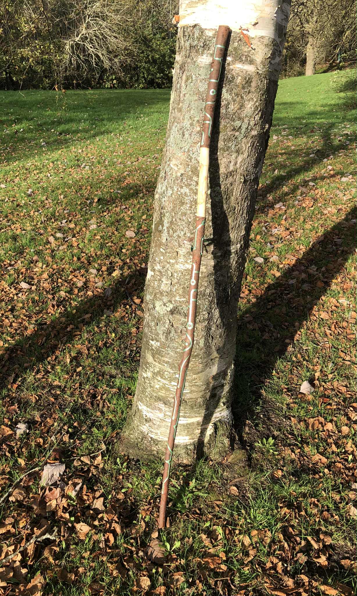 A wooden staff with shimmering green linework resembling wires on a circuitboard leaning against a tree in the park.