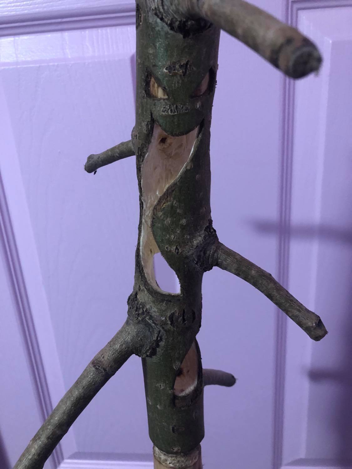 The first face, with laughing eyes, and a twisted grin.