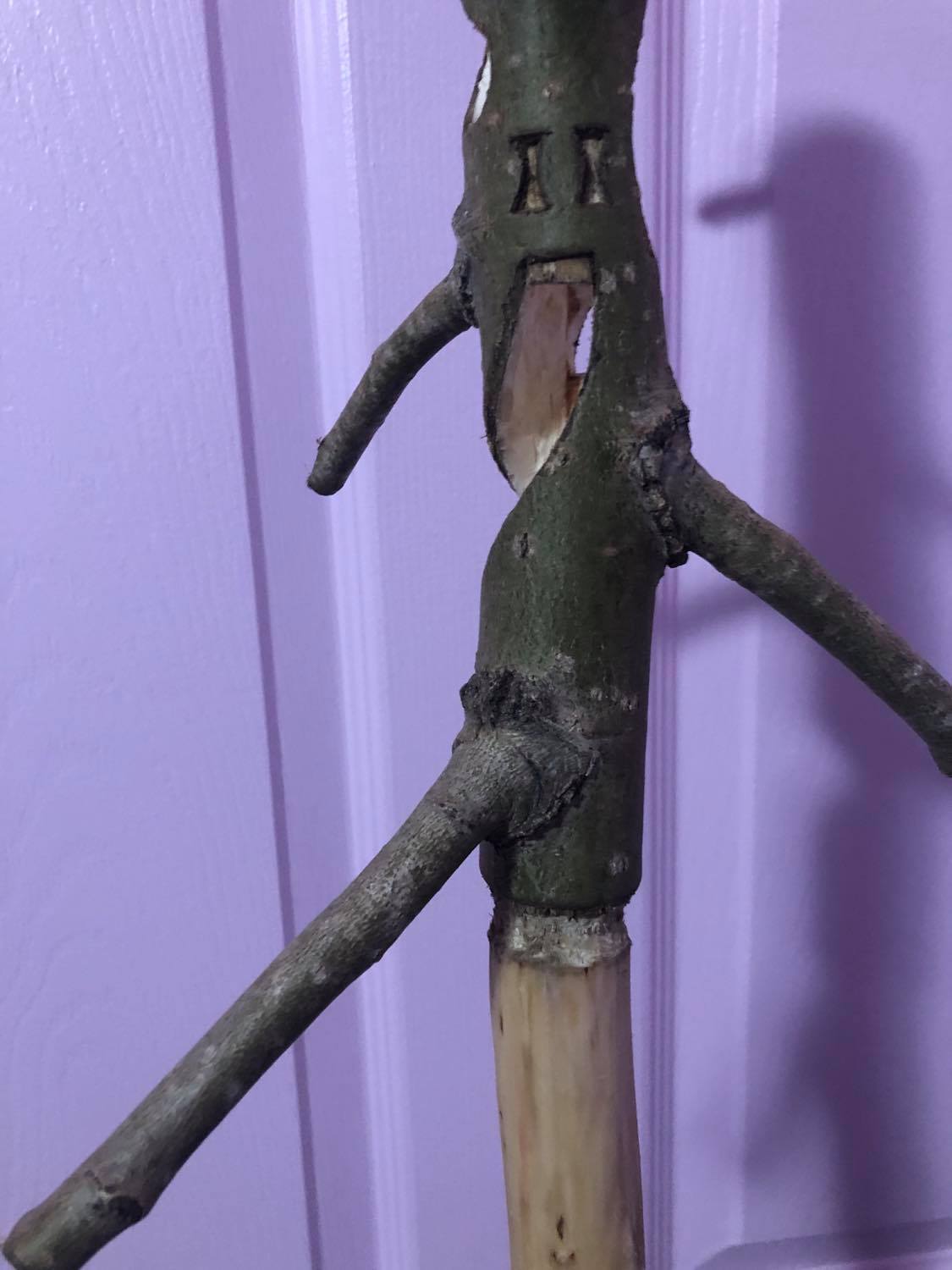 Showing the eyes of the bottom face, with the hourglasses for eyes. The mouth twists off to the back.