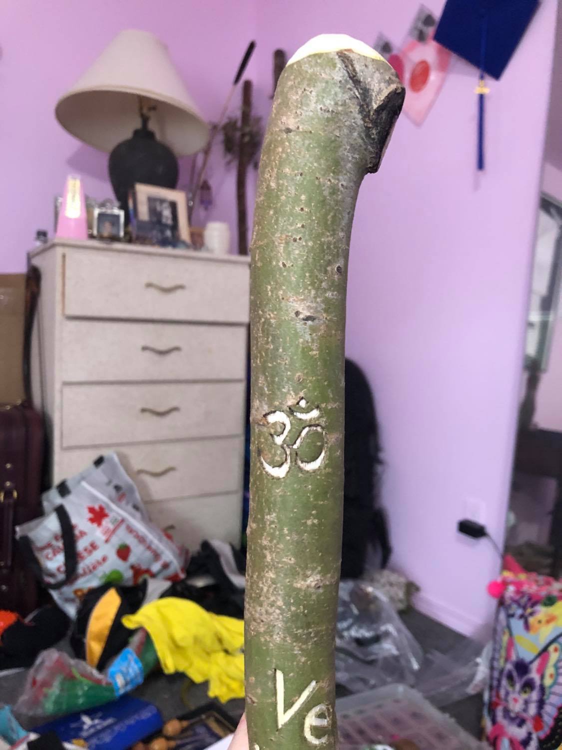 The Ohm symbol on the cane, just taken in a pink, somewhat messy room.
