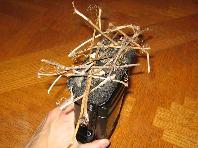 A handful of sticks glued to the top of the gravel at the top of the cache.
