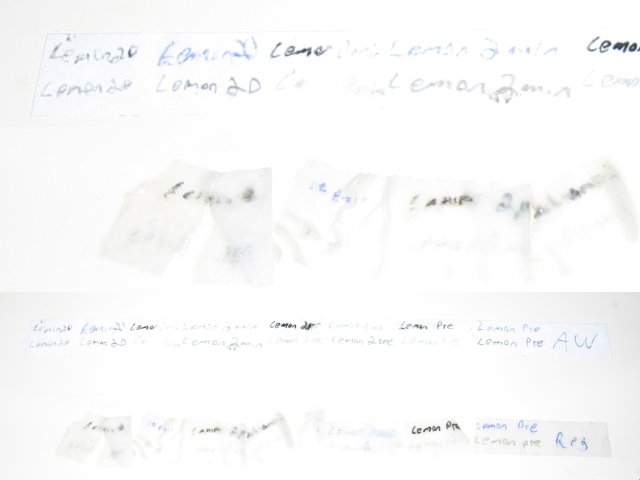 The all weather paper holding up well, with the regular paper being barely being able to be pieced together.