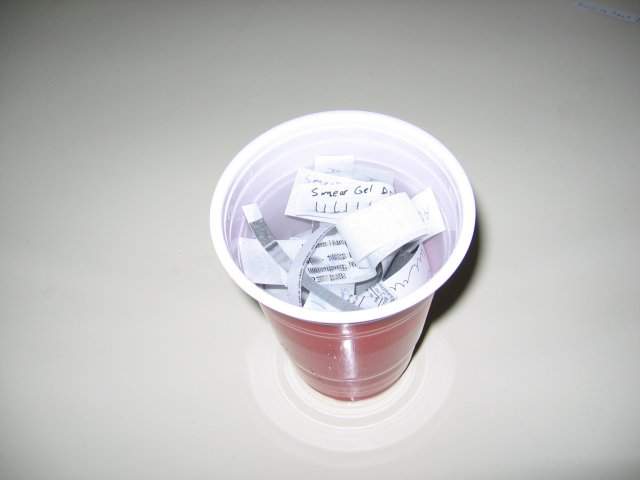 All of those strips of paper placed into a red plastic cup full of water.