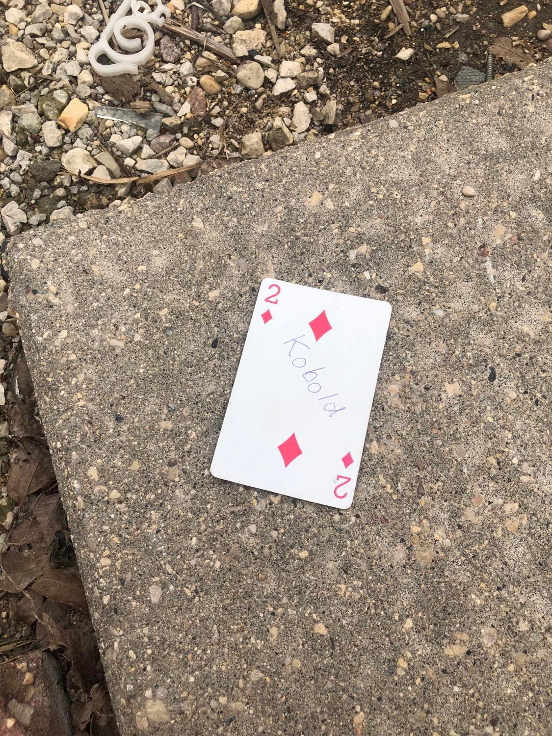 The two of diamonds, laying on the ground before the creature.