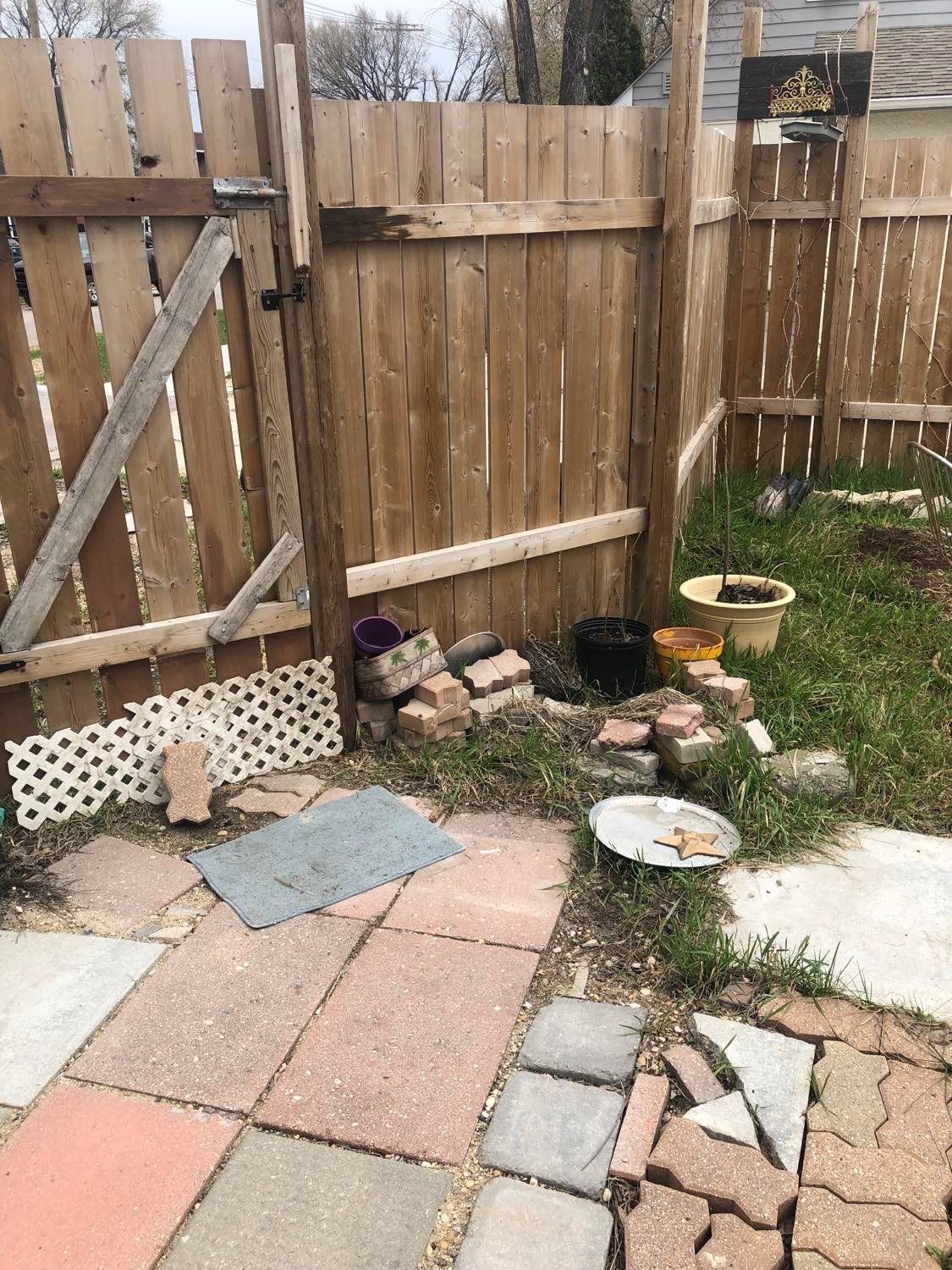 Peering into your back yard, a fine and calm day.