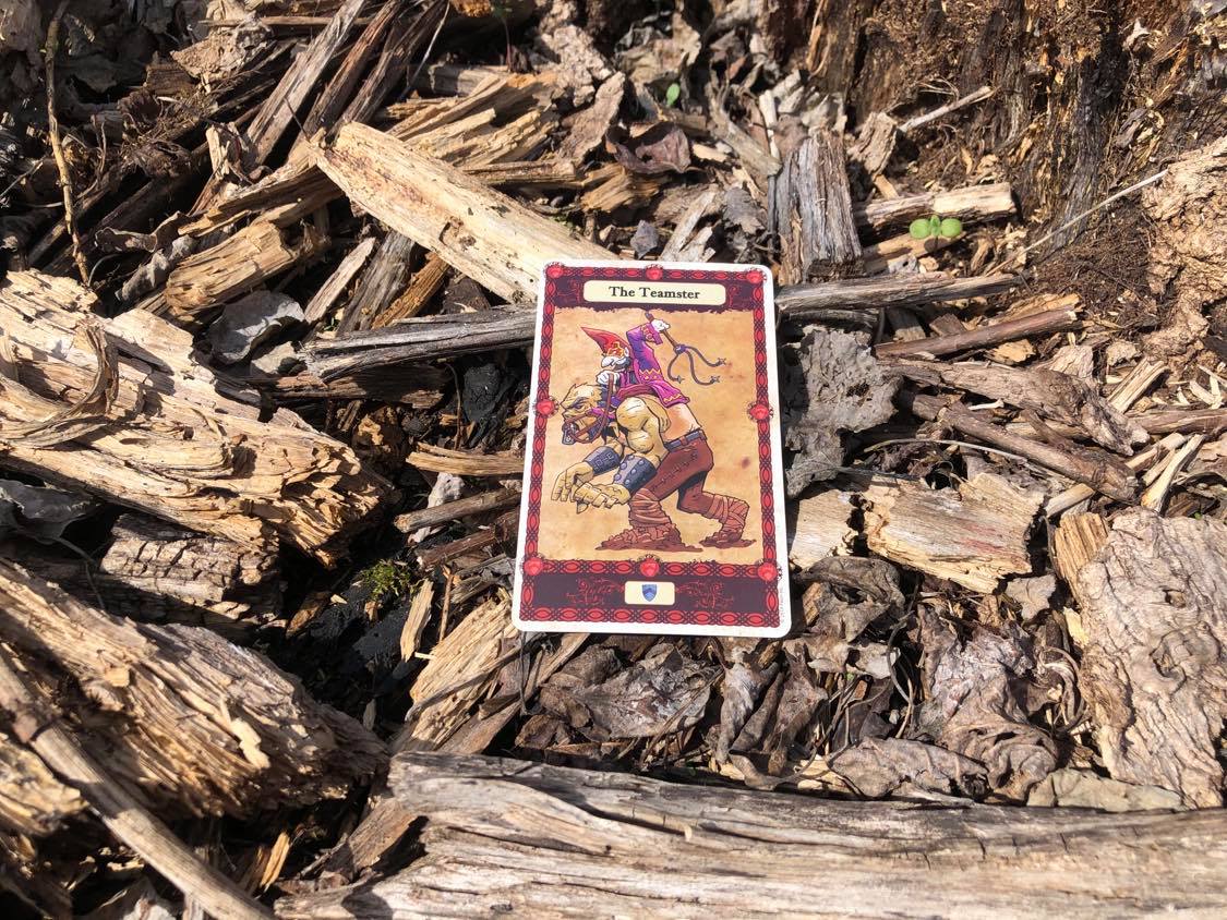 A dwarf riding chained beast, the card laying on the forest debris.