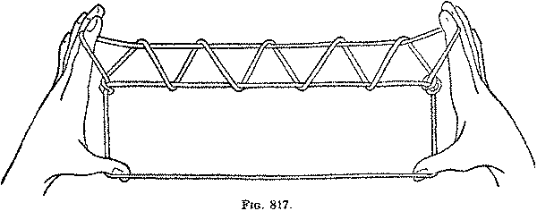 Fig. 817 Fig. 817