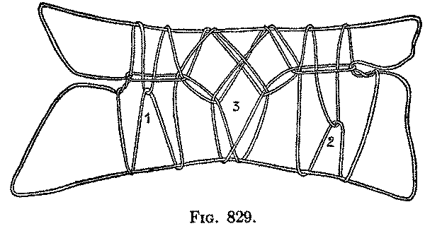 Fig. 829 Fig. 829