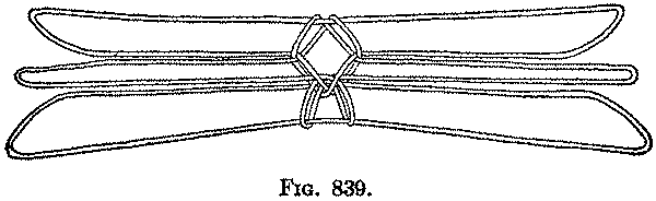 Fig. 839 Fig. 839