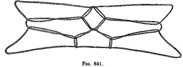 Fig. 841 Fig. 841