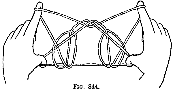Fig. 844 Fig. 844