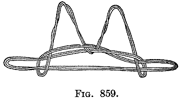 Fig. 859 Fig. 859