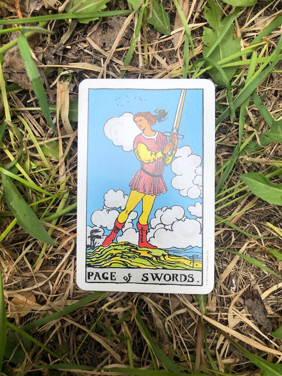 The Page of Swords, upright, laying in the grass.