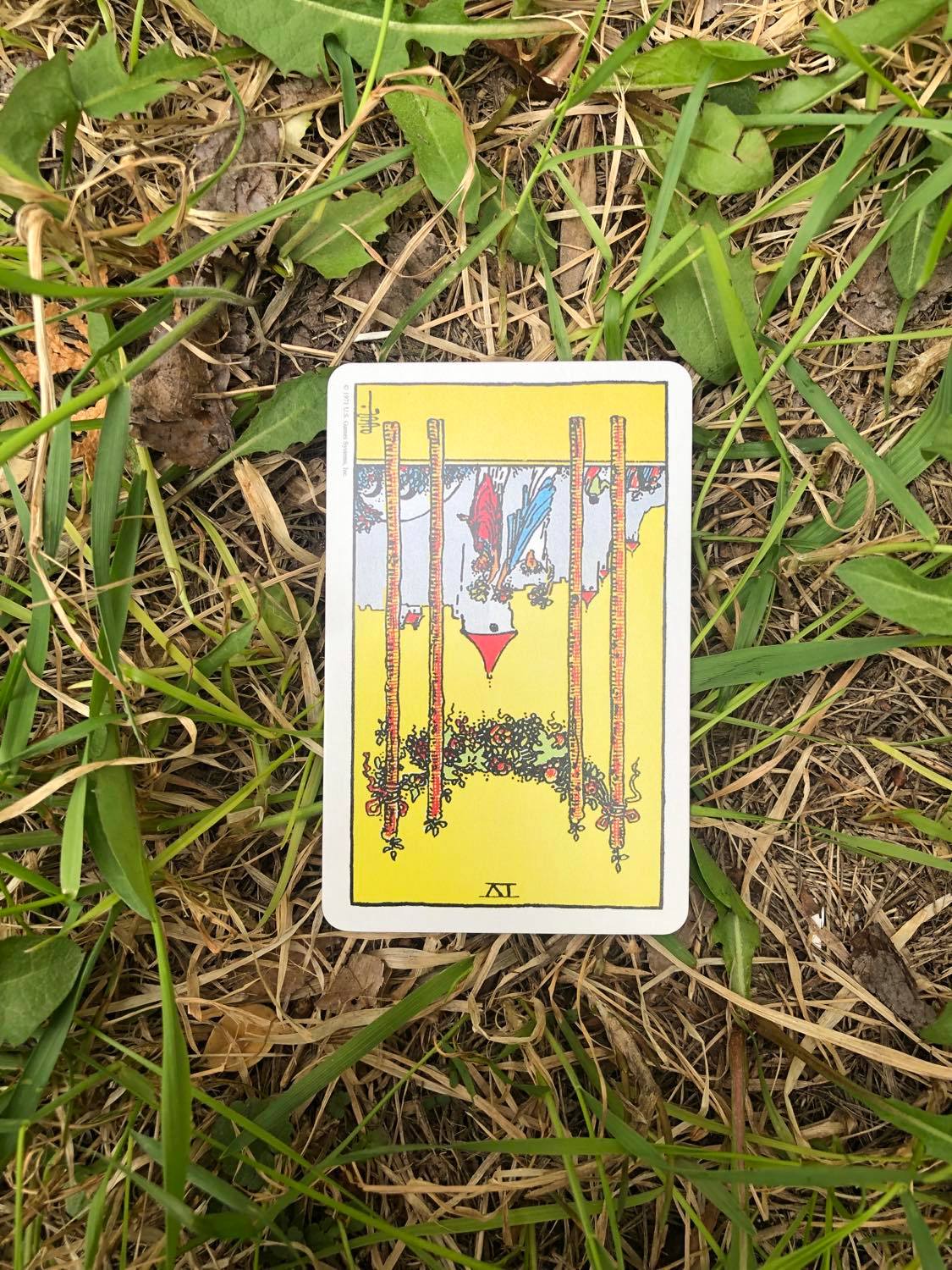 The Four of Wands, inverted, laying in the grass.
