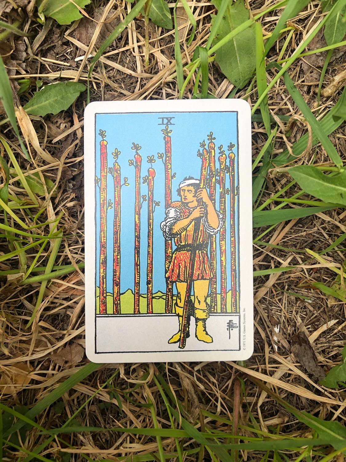 The Nine of Wands, upright, laying in the grass.