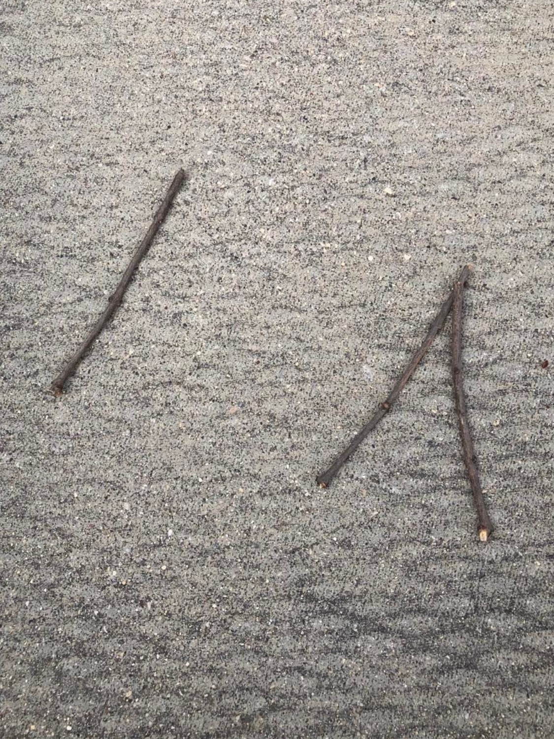 Three sticks on the ground, somewhat resembling a talking face, with one stick being the eyes, and the other two sticks forming a mouth.