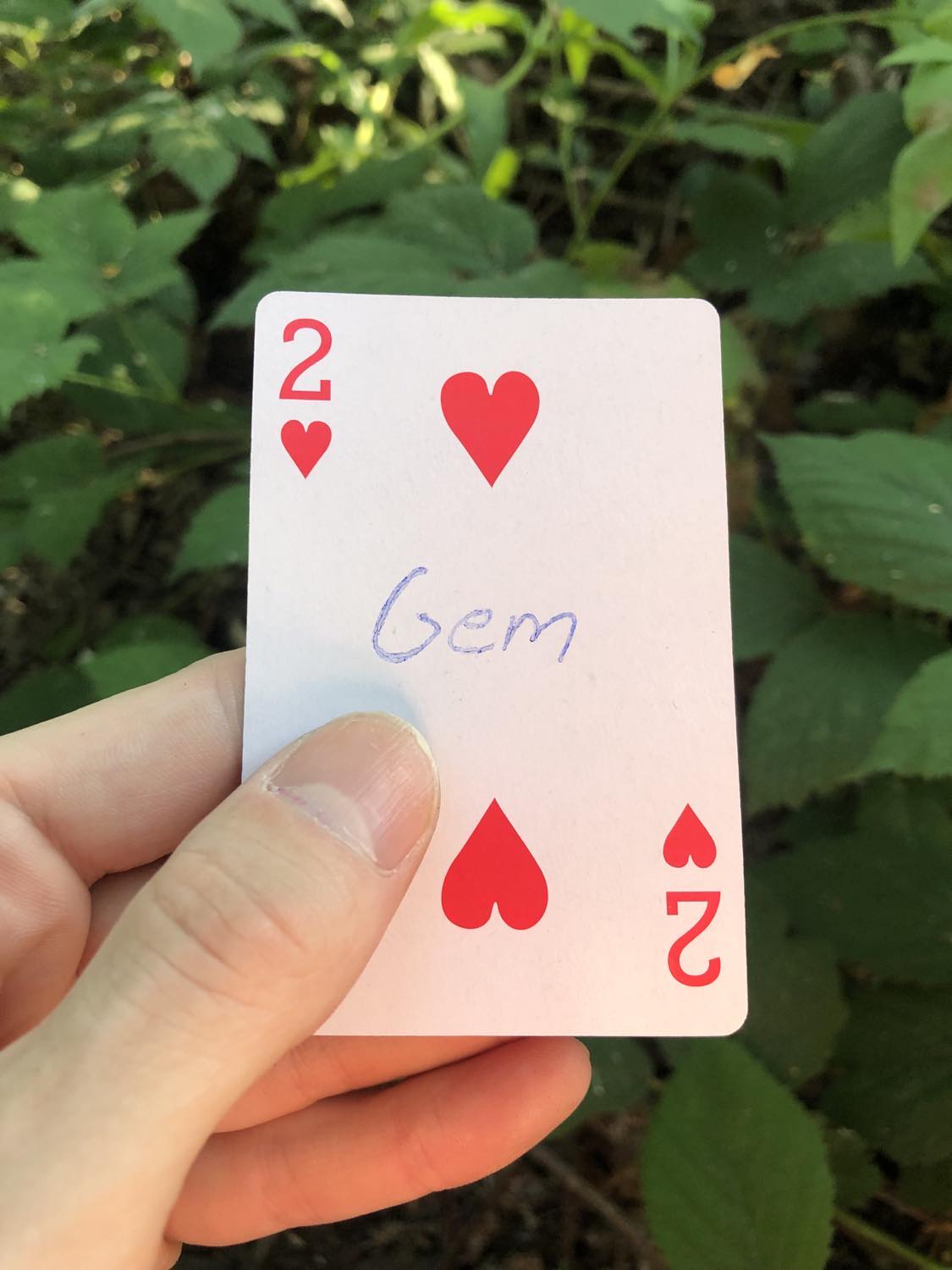 The two of hearts with the word Gem written on it, held above the brush.