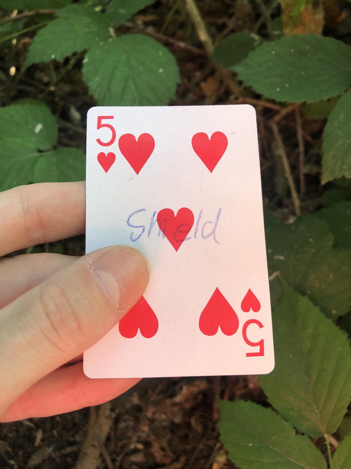 The five of hearts with the word Shield written on it, held above the brush.