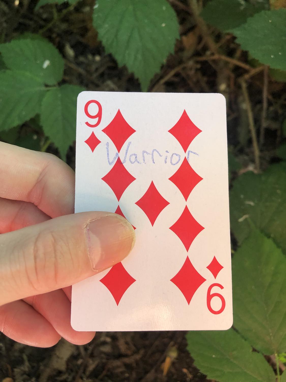 The nine of diamonds with the word Warrior written on it, held above the brush.