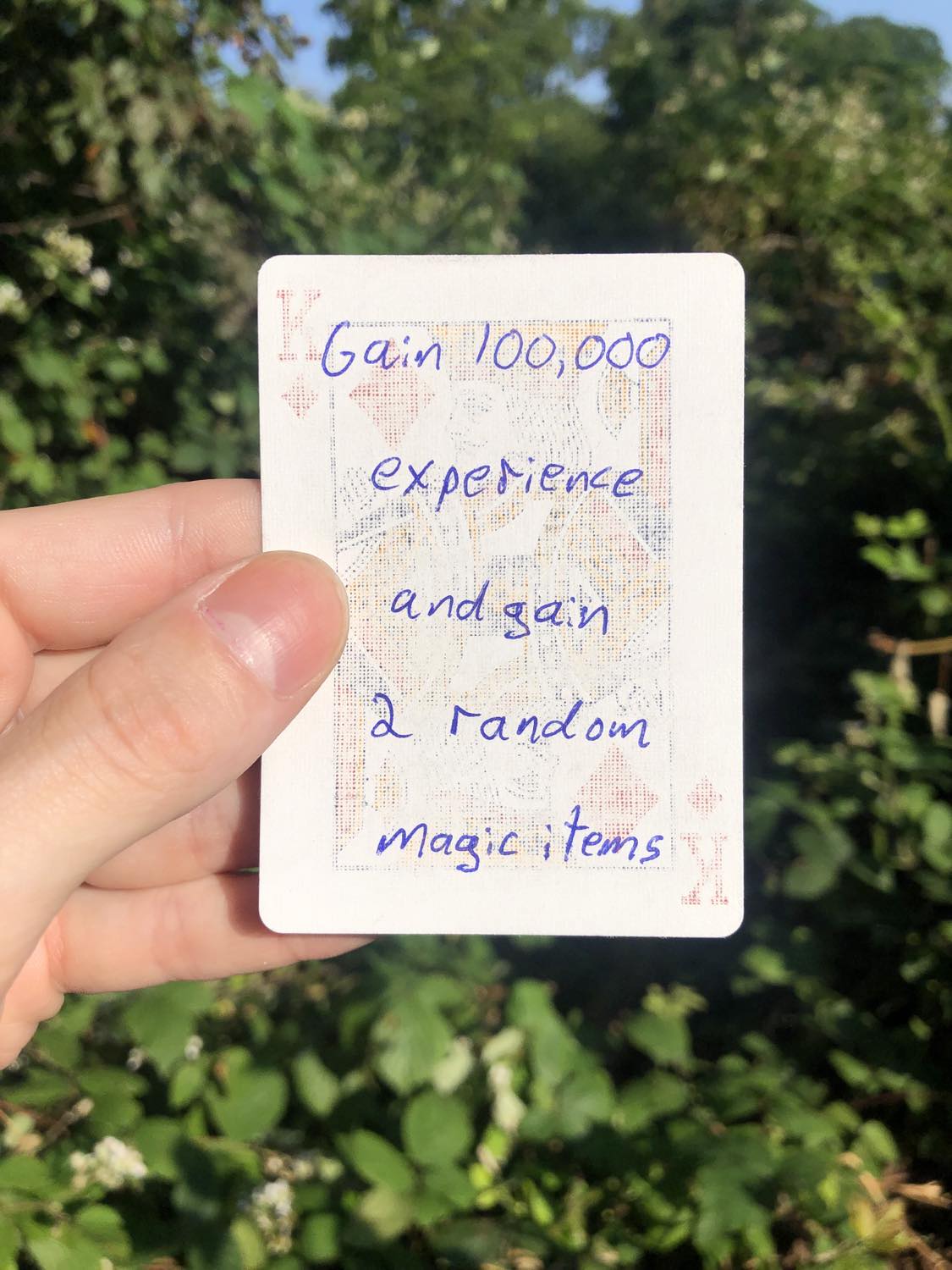 The king of diamonds, held with the trees and foliage behind. Gain 100,000 experience, and gain 2 random magic items.