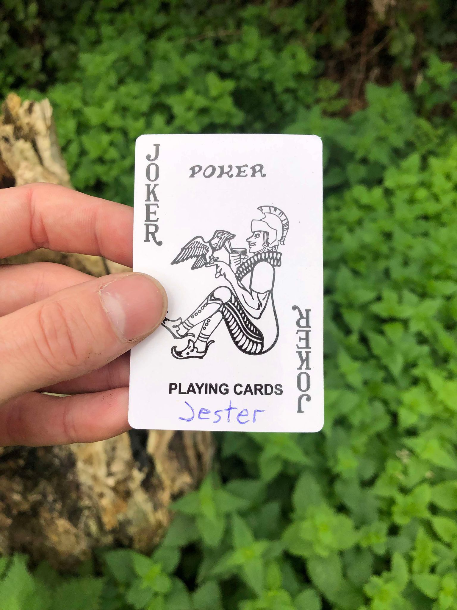 Holding up the card, the stump and foliage visible behind it, your fate is sealed.