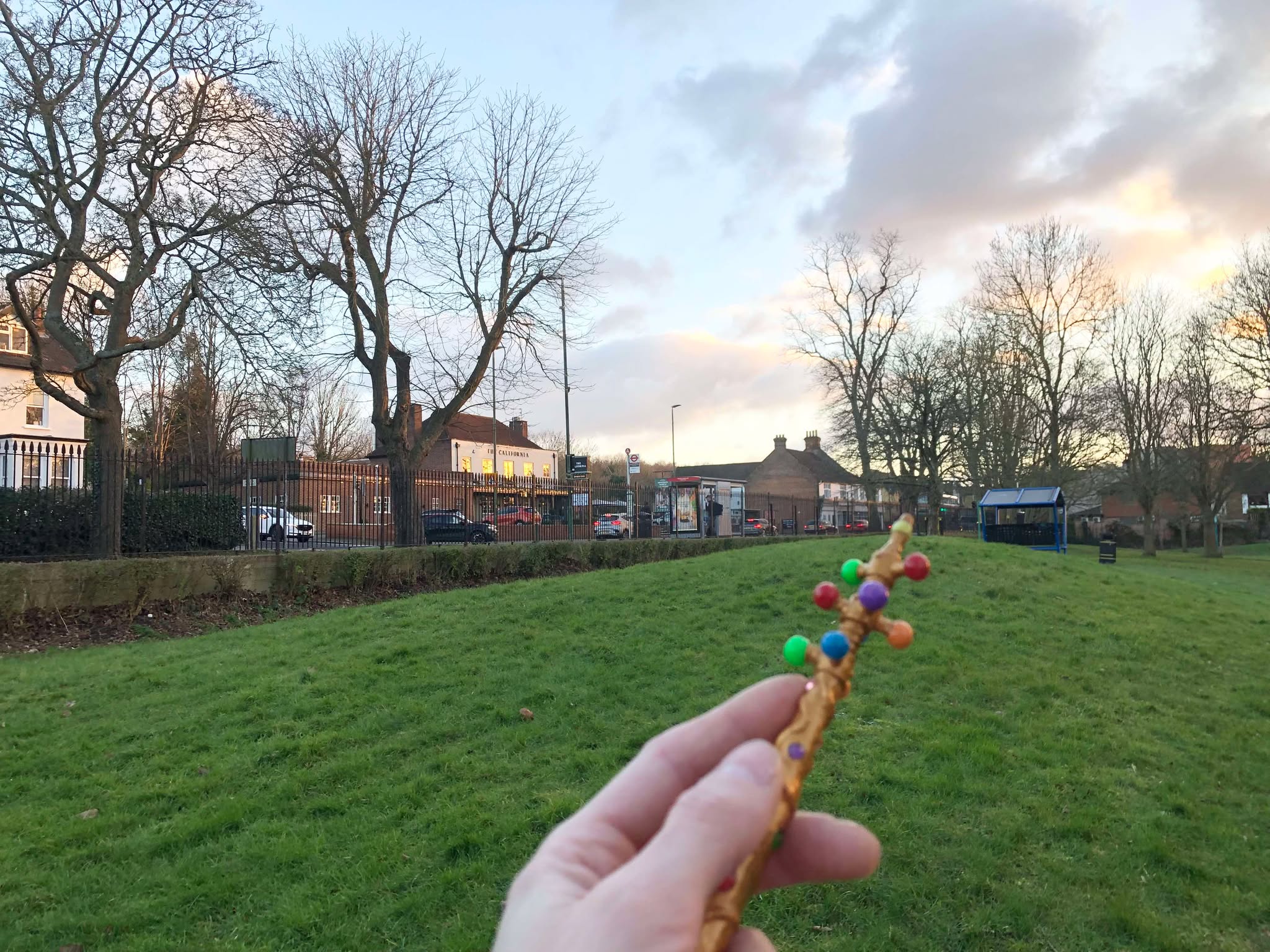 The Wand of Wonder, pointed forwards, of the trees, houses, cars, people plants, you debate what to cast the wand on.
